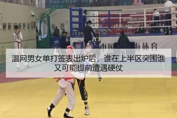 温网男女单打签表出炉后，谁在上半区突围谁又可能提前遭遇硬仗（aiyouxi）
